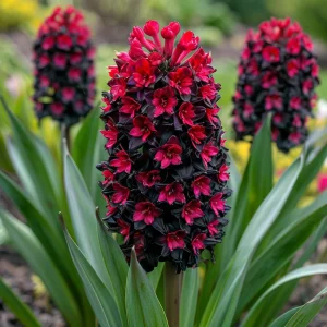 Гиацинт Джем Стоун купить по цене от 2099р. в интернет-магазине «Посадика» с доставкой почтой в в Боровичие и по всей России – [изображение №1].