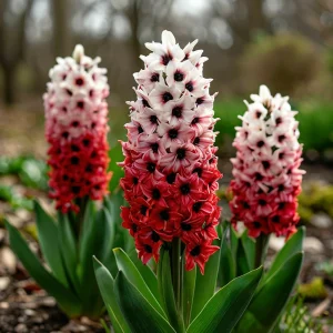 Гиацинт Скай Гарден купить по цене от 2099р. в интернет-магазине «Посадика» с доставкой почтой в в Боровичие и по всей России – [изображение №1].